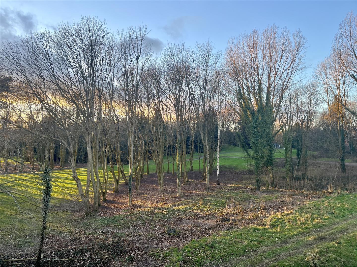 Apartment 4, Terrick Hall, Whitchurch, SY13 4JZ Estate Agents & Auctioneers